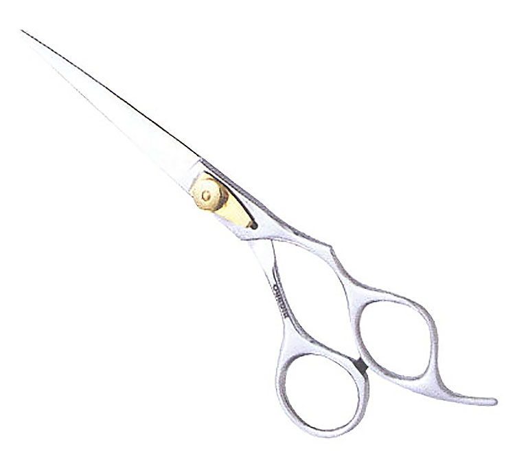 Classic Mirror Polish Adjustable Screw 6