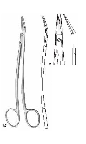 Tonsil Scissors