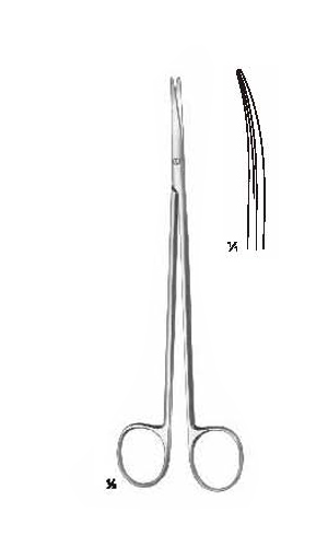 Dissecting Scissors