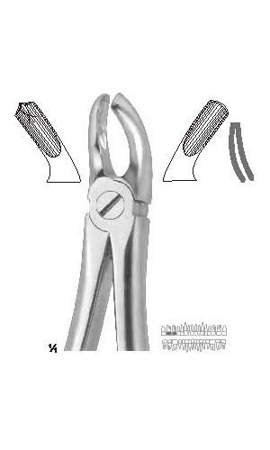 Extracting forceps english pattern