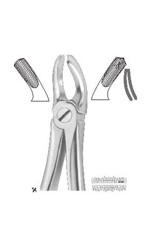 Extracting forceps english pattern