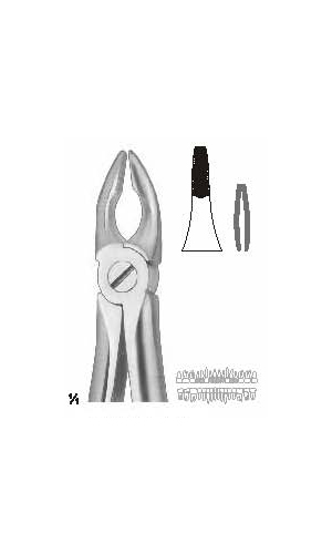 Extracting forceps english pattern