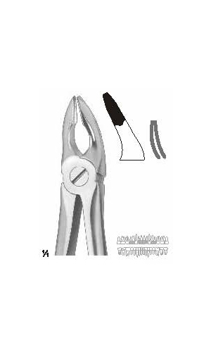 Extracting forceps english pattern
