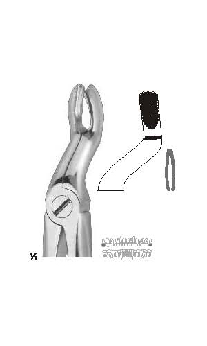 Extracting forceps english pattern