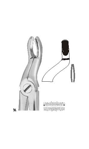 Extracting forceps english pattern