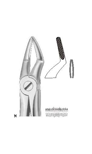 Extracting forceps english pattern