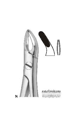 Extracting forceps english pattern