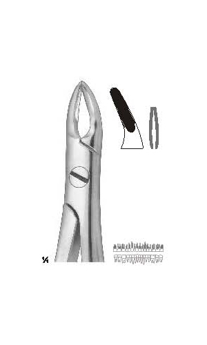Extracting forceps english pattern