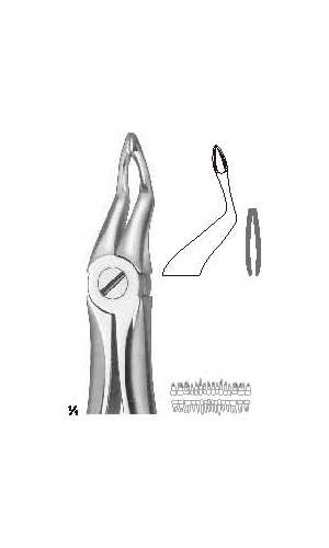 Extracting forceps english pattern