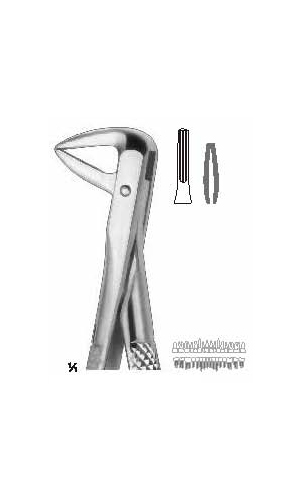 Extracting forceps english pattern