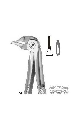 Extracting forceps english pattern