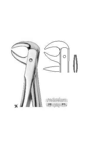 Extracting forceps english pattern