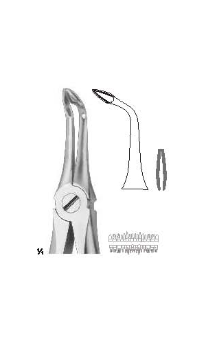 Extracting forceps english pattern