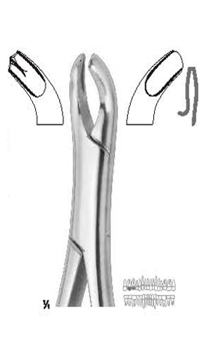 Extracting forceps , Amirican pattern