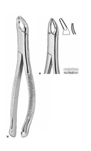 Extracting forceps , Amirican pattern