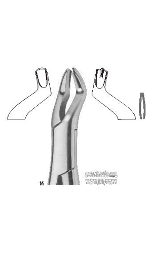 Extracting forceps , Amirican pattern