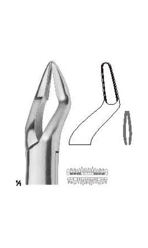 Extracting forceps , Amirican pattern