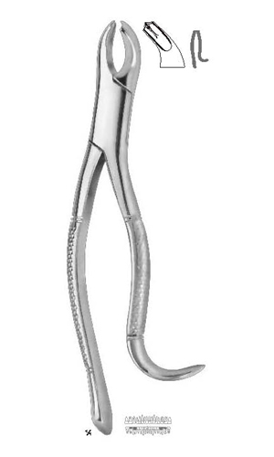 Extracting forceps , Amirican pattern