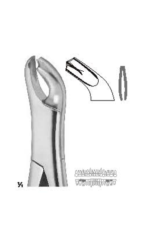 Extracting forceps , Amirican pattern