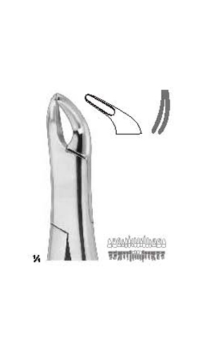 Extracting forceps, American pattern