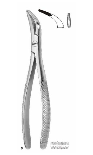 Extracting forceps, American pattern