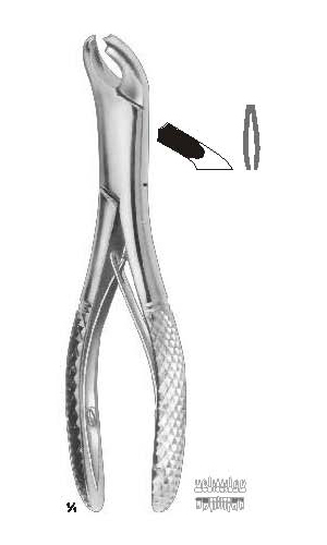 Extracting forceps, for children , American pattern