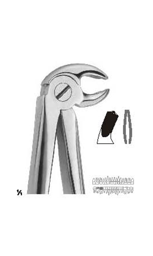Extracting Forceps (English Pattern)
